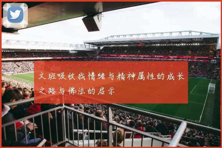 文班吸收我情绪与精神属性的成长之路与佛法的启示